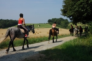 RANDONNEES EQUESTRES